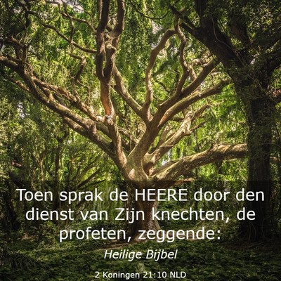 Picture 03 - 2 Koningen 21:10 NLD - Toen sprak de HEERE door den dienst van Zijn - Bible Verse Picture
