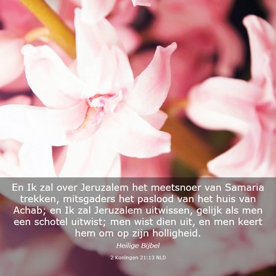Picture 03 - 2 Koningen 21:13 NLD - En Ik zal over Jeruzalem het meetsnoer van - Bible Verse Picture