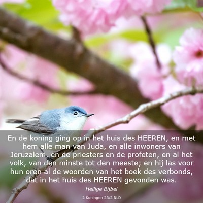 Picture 03 - 2 Koningen 23:2 NLD - En de koning ging op in het huis des HEEREN, en - Bible Verse Picture
