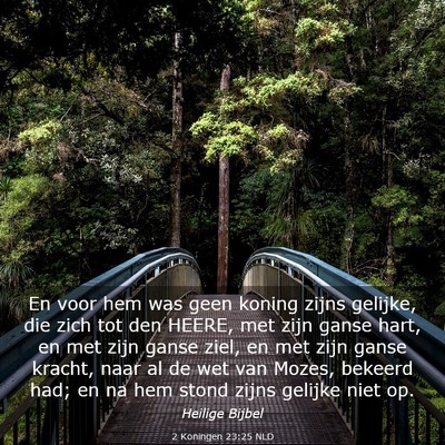 Picture 03 - 2 Koningen 23:25 NLD - En voor hem was geen koning zijns gelijke, die - Bible Verse Picture