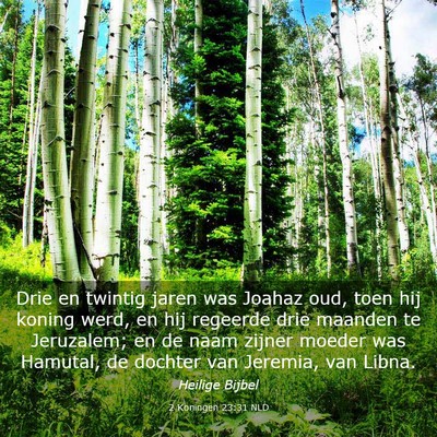 Picture 03 - 2 Koningen 23:31 NLD - Drie en twintig jaren was Joahaz oud, toen hij - Bible Verse Picture