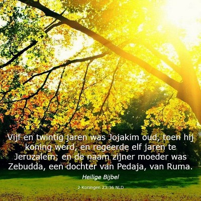 Picture 03 - 2 Koningen 23:36 NLD - Vijf en twintig jaren was Jojakim oud, toen hij - Bible Verse Picture