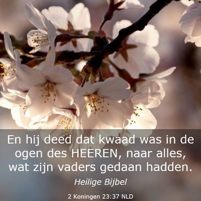 Picture 03 - 2 Koningen 23:37 NLD - En hij deed dat kwaad was in de ogen des HEEREN, - Bible Verse Picture