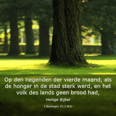 Picture 03 - 2 Koningen 25:3 NLD - Op den negenden der vierde maand, als de honger - Bible Verse Picture