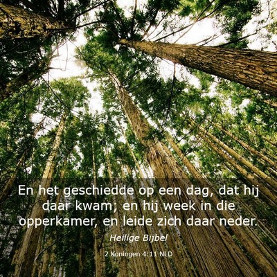 Picture 03 - 2 Koningen 4:11 NLD - En het geschiedde op een dag, dat hij daar kwam; - Bible Verse Picture