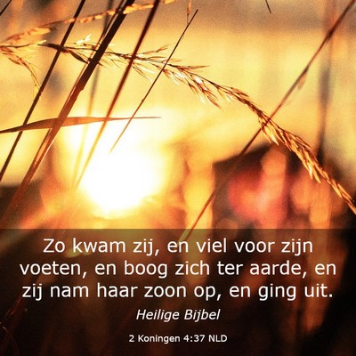Picture 03 - 2 Koningen 4:37 NLD - Zo kwam zij, en viel voor zijn voeten, en boog - Bible Verse Picture