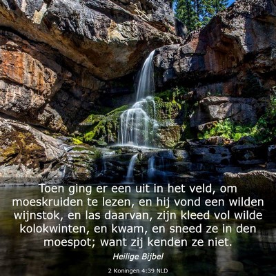 Picture 03 - 2 Koningen 4:39 NLD - Toen ging er een uit in het veld, om moeskruiden - Bible Verse Picture