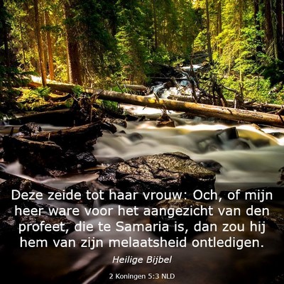 Picture 03 - 2 Koningen 5:3 NLD - Deze zeide tot haar vrouw: Och, of mijn heer ware - Bible Verse Picture