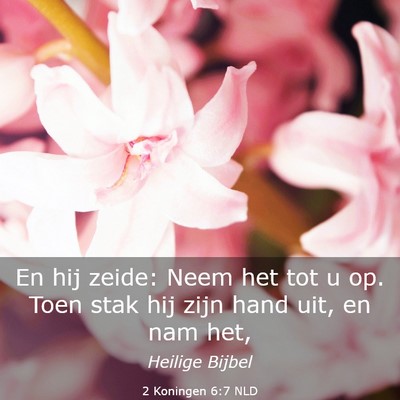 Picture 03 - 2 Koningen 6:7 NLD - En hij zeide: Neem het tot u op. Toen stak hij - Bible Verse Picture