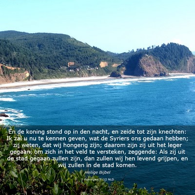 Picture 03 - 2 Koningen 7:12 NLD - En de koning stond op in den nacht, en zeide tot - Bible Verse Picture