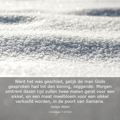 Picture 03 - 2 Koningen 7:18 NLD - Want het was geschied, gelijk de man Gods - Bible Verse Picture