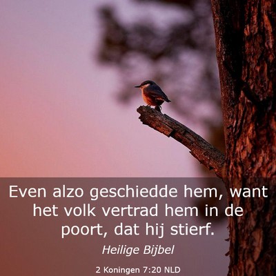 Picture 03 - 2 Koningen 7:20 NLD - Even alzo geschiedde hem, want het volk vertrad - Bible Verse Picture