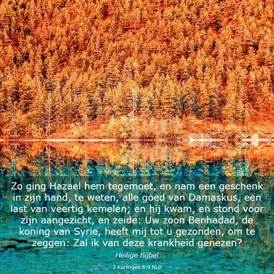Picture 03 - 2 Koningen 8:9 NLD - Zo ging Hazael hem tegemoet, en nam een geschenk - Bible Verse Picture