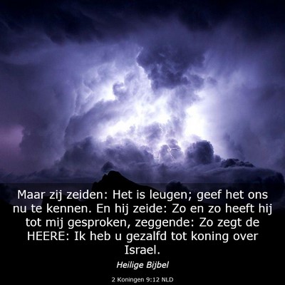 Picture 03 - 2 Koningen 9:12 NLD - Maar zij zeiden: Het is leugen; geef het ons nu - Bible Verse Picture