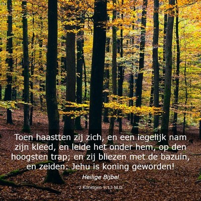 Picture 03 - 2 Koningen 9:13 NLD - Toen haastten zij zich, en een iegelijk nam zijn - Bible Verse Picture