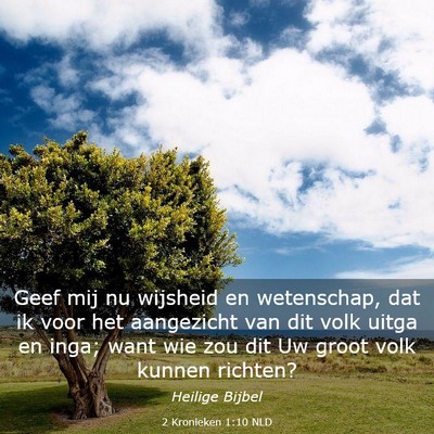 Picture 03 - 2 Kronieken 1:10 NLD - Geef mij nu wijsheid en wetenschap, dat ik voor - Bible Verse Picture
