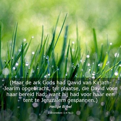 Picture 03 - 2 Kronieken 1:4 NLD - (Maar de ark Gods had David van Kirjath-Jearim - Bible Verse Picture