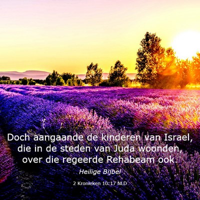 Picture 03 - 2 Kronieken 10:17 NLD - Doch aangaande de kinderen van Israel, die in de - Bible Verse Picture