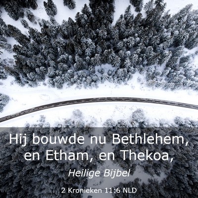 Picture 03 - 2 Kronieken 11:6 NLD - Hij bouwde nu Bethlehem, en Etham, en - Bible Verse Picture