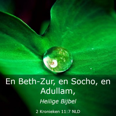 Picture 03 - 2 Kronieken 11:7 NLD - En Beth-Zur, en Socho, en - Bible Verse Picture