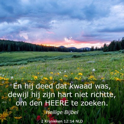 Picture 03 - 2 Kronieken 12:14 NLD - En hij deed dat kwaad was, dewijl hij zijn hart - Bible Verse Picture