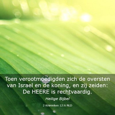Picture 03 - 2 Kronieken 12:6 NLD - Toen verootmoedigden zich de oversten van Israel - Bible Verse Picture