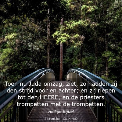 Picture 03 - 2 Kronieken 13:14 NLD - Toen nu Juda omzag, ziet, zo hadden zij den - Bible Verse Picture