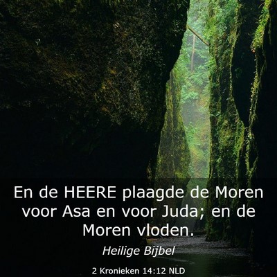 Picture 03 - 2 Kronieken 14:12 NLD - En de HEERE plaagde de Moren voor Asa en voor - Bible Verse Picture
