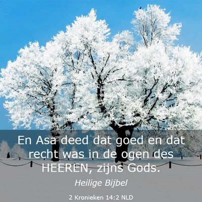 Picture 03 - 2 Kronieken 14:2 NLD - En Asa deed dat goed en dat recht was in de ogen - Bible Verse Picture