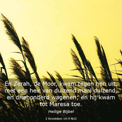 Picture 03 - 2 Kronieken 14:9 NLD - En Zerah, de Moor, kwam tegen hen uit, met een - Bible Verse Picture