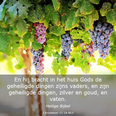 Picture 03 - 2 Kronieken 15:18 NLD - En hij bracht in het huis Gods de geheiligde - Bible Verse Picture