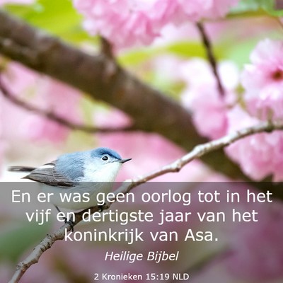 Picture 03 - 2 Kronieken 15:19 NLD - En er was geen oorlog tot in het vijf en - Bible Verse Picture