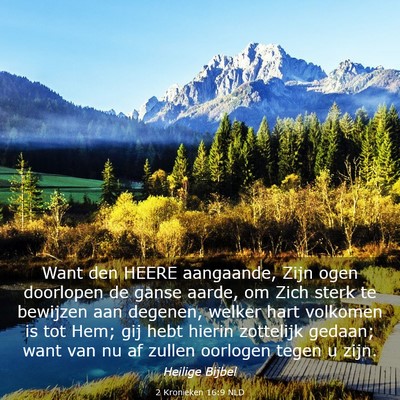 Picture 03 - 2 Kronieken 16:9 NLD - Want den HEERE aangaande, Zijn ogen doorlopen de - Bible Verse Picture