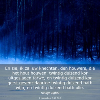 Picture 03 - 2 Kronieken 2:10 NLD - En zie, ik zal uw knechten, den houwers, die het - Bible Verse Picture