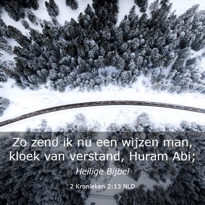 Picture 03 - 2 Kronieken 2:13 NLD - Zo zend ik nu een wijzen man, kloek van verstand, - Bible Verse Picture
