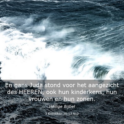 Picture 03 - 2 Kronieken 20:13 NLD - En gans Juda stond voor het aangezicht des - Bible Verse Picture