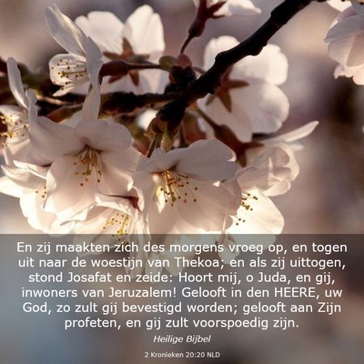 Picture 03 - 2 Kronieken 20:20 NLD - En zij maakten zich des morgens vroeg op, en - Bible Verse Picture