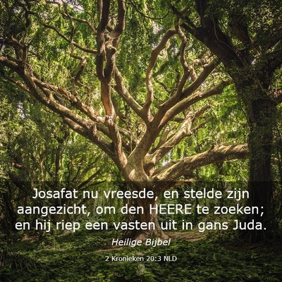 Picture 03 - 2 Kronieken 20:3 NLD - Josafat nu vreesde, en stelde zijn aangezicht, om - Bible Verse Picture