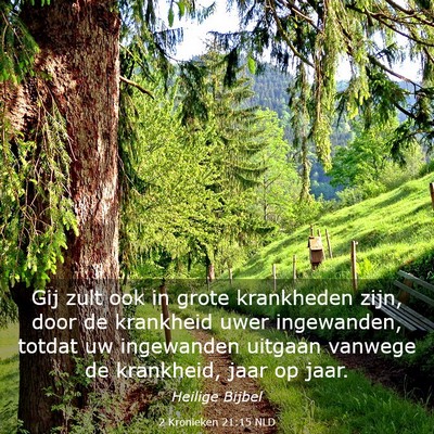Picture 03 - 2 Kronieken 21:15 NLD - Gij zult ook in grote krankheden zijn, door de - Bible Verse Picture