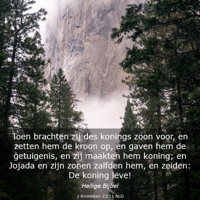 Picture 03 - 2 Kronieken 23:11 NLD - Toen brachten zij des konings zoon voor, en - Bible Verse Picture