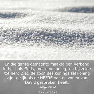Picture 03 - 2 Kronieken 23:3 NLD - En die ganse gemeente maakte een verbond in het - Bible Verse Picture