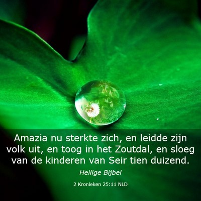 Picture 03 - 2 Kronieken 25:11 NLD - Amazia nu sterkte zich, en leidde zijn volk uit, - Bible Verse Picture