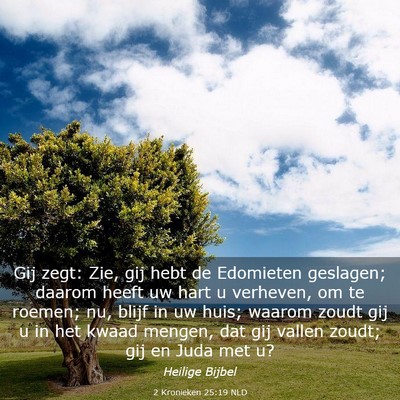 Picture 03 - 2 Kronieken 25:19 NLD - Gij zegt: Zie, gij hebt de Edomieten geslagen; - Bible Verse Picture