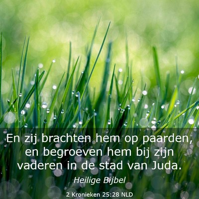 Picture 03 - 2 Kronieken 25:28 NLD - En zij brachten hem op paarden, en begroeven hem - Bible Verse Picture