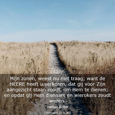 Picture 03 - 2 Kronieken 29:11 NLD - Mijn zonen, weest nu niet traag; want de HEERE - Bible Verse Picture