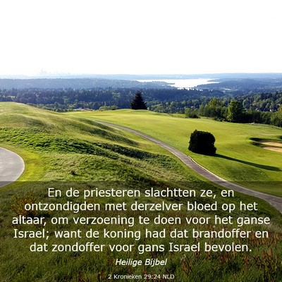 Picture 03 - 2 Kronieken 29:24 NLD - En de priesteren slachtten ze, en ontzondigden - Bible Verse Picture