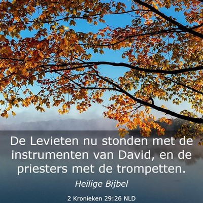 Picture 03 - 2 Kronieken 29:26 NLD - De Levieten nu stonden met de instrumenten van - Bible Verse Picture