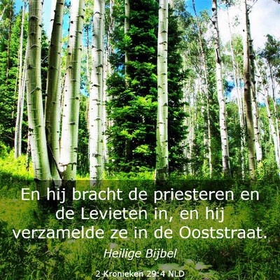 Picture 03 - 2 Kronieken 29:4 NLD - En hij bracht de priesteren en de Levieten in, en - Bible Verse Picture