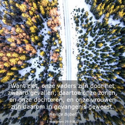 Picture 03 - 2 Kronieken 29:9 NLD - Want ziet, onze vaders zijn door het zwaard - Bible Verse Picture