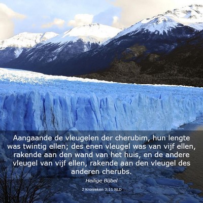 Picture 03 - 2 Kronieken 3:11 NLD - Aangaande de vleugelen der cherubim, hun lengte - Bible Verse Picture